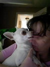 Gracie