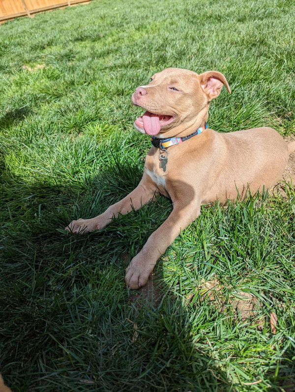 Emerald aka Luna