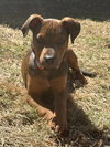 Rusty