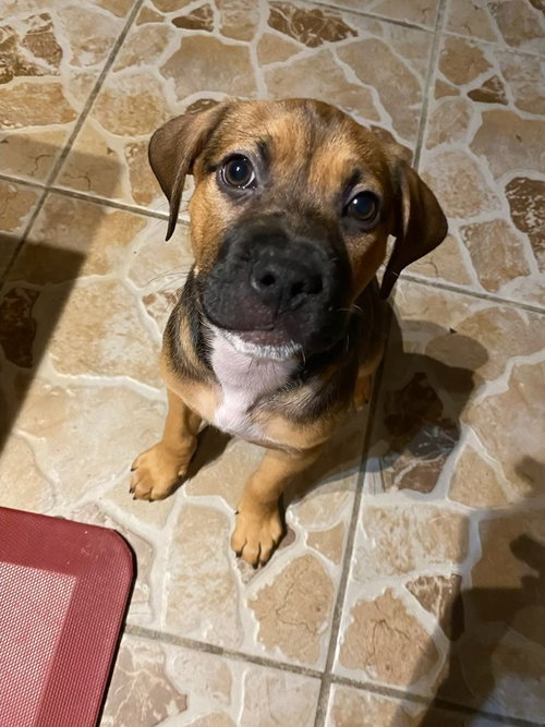 Rylo
