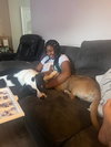 Bruno