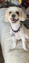 Archie