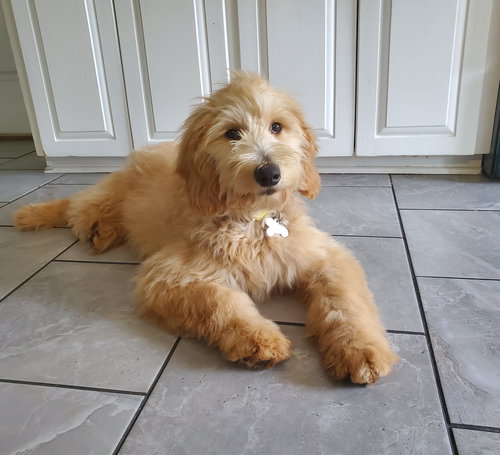 Winnie