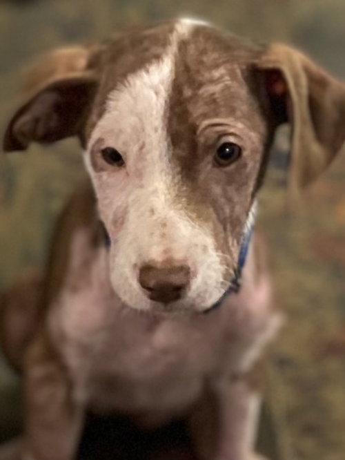 Max