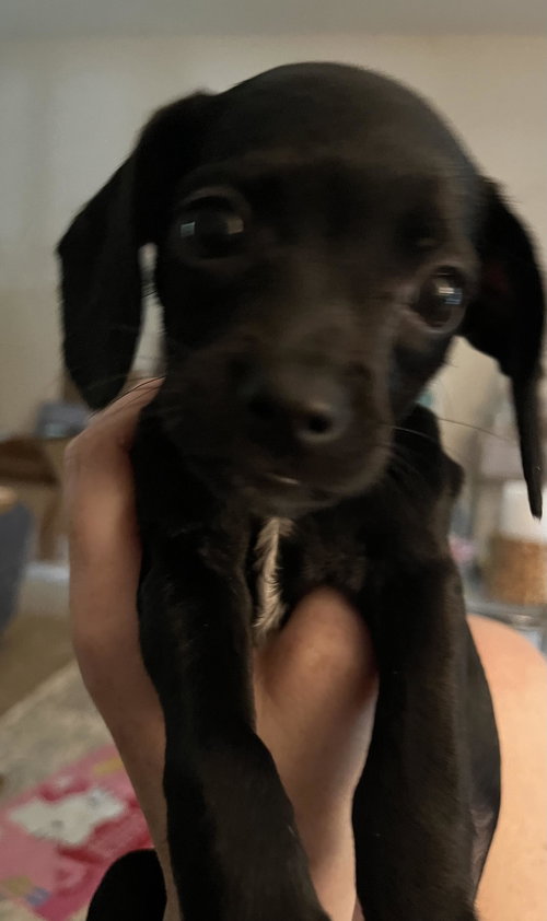 Winnie