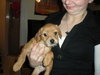 Tashi