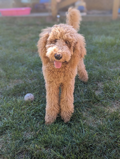 Charlie