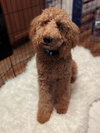 Charlie