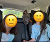 Nash - Photo 10