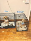Sawyer