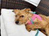 Betty