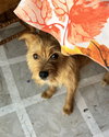 Betty