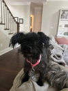 Pip