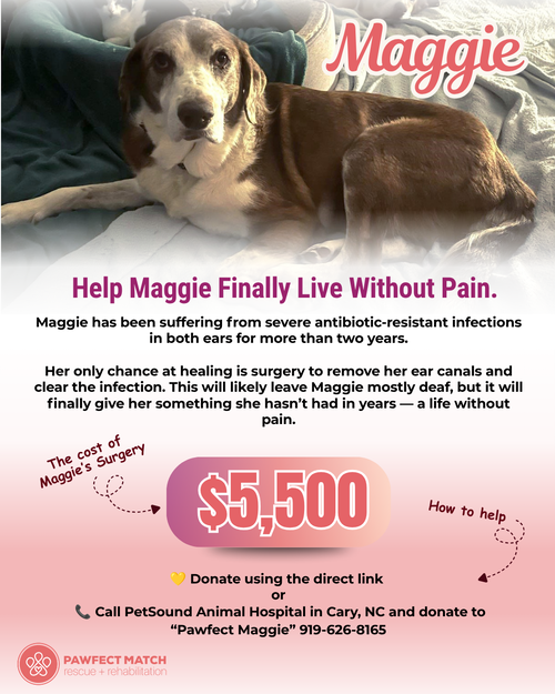 Maggie Pearl - Hospice Only, photo 2
