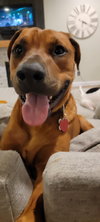 Axel