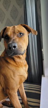 Axel