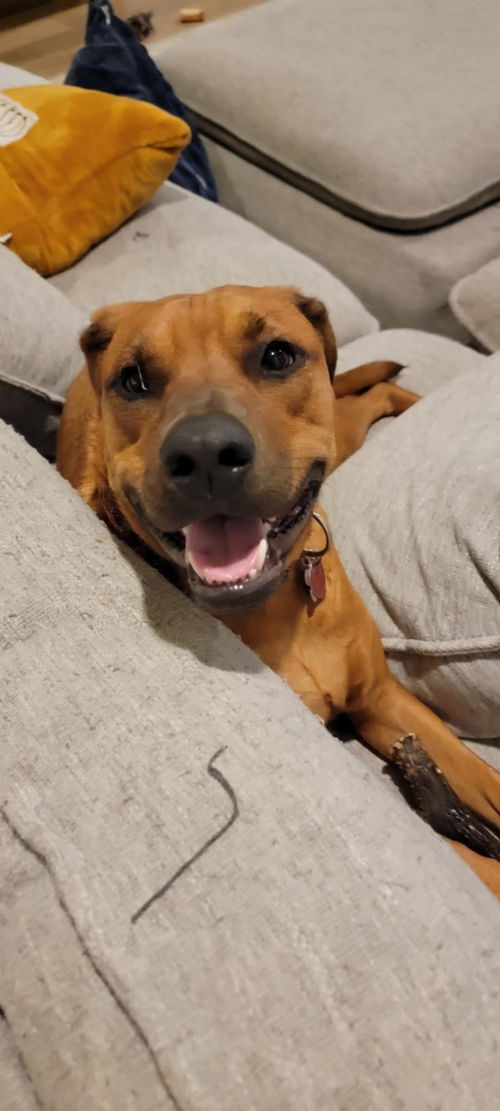 Axel