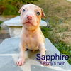 Birthstone Litter - Sapphire