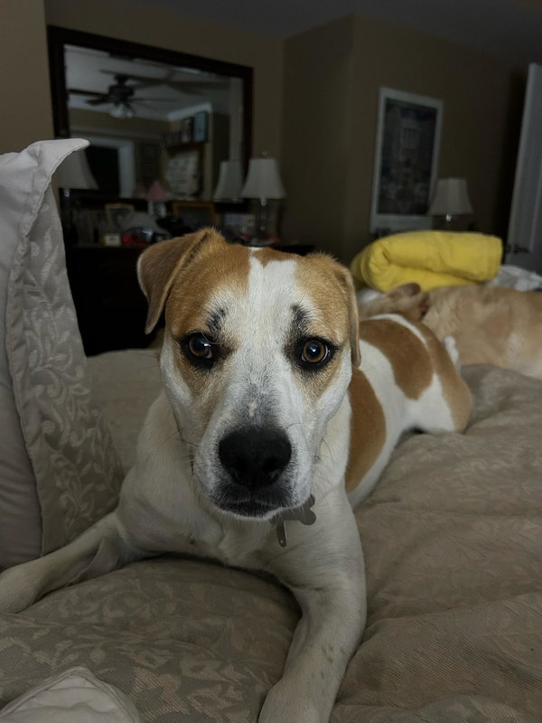 Walter