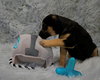 Gentle - Zen Litter