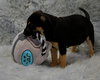 Gentle - Zen Litter