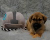 Calm - Zen Litter