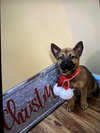 Gretel