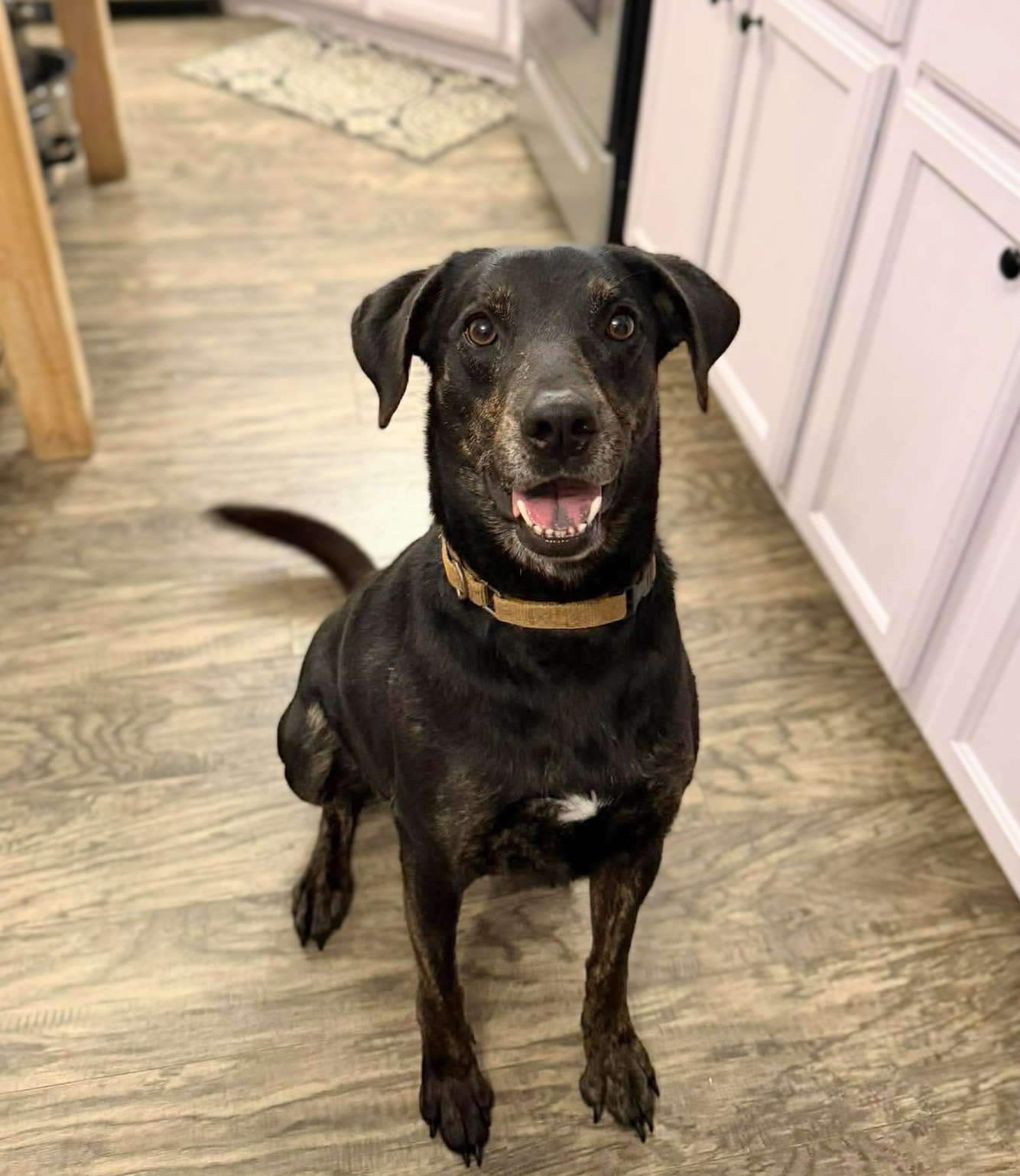 Riley Image