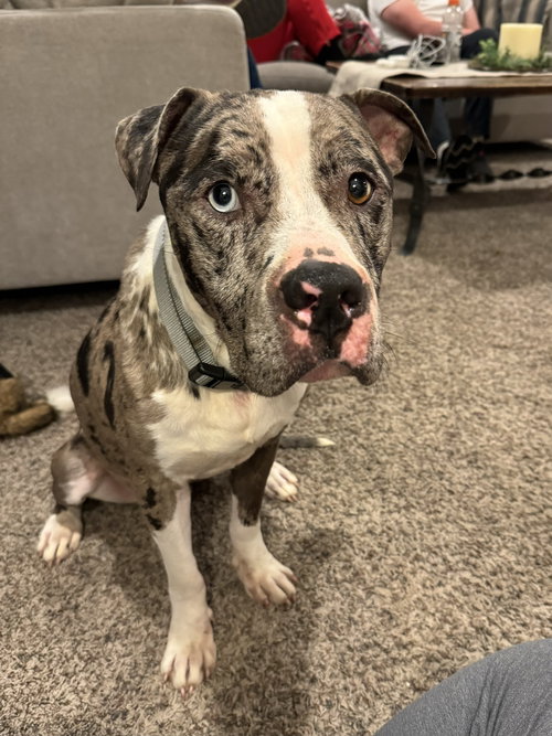 BROOKS (Courtesy)