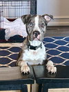 BROOKS (Courtesy)