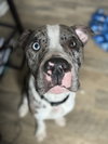 BROOKS (Courtesy)