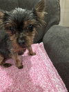 CHARLIE