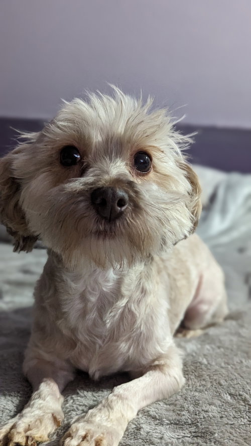 Marley