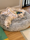 Corbin - December Litter
