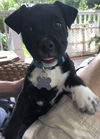 Mary Puppins