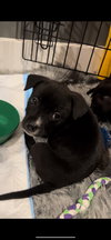Sarah Jessica Barker - Celebrity Litter