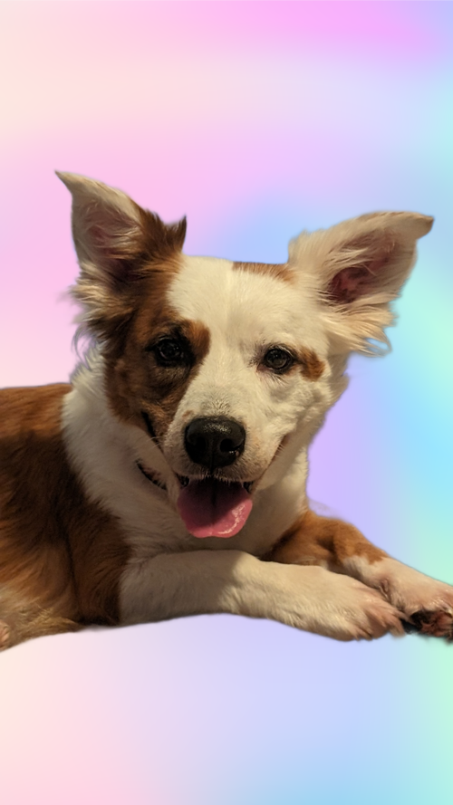 Chloe