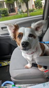 Chloe