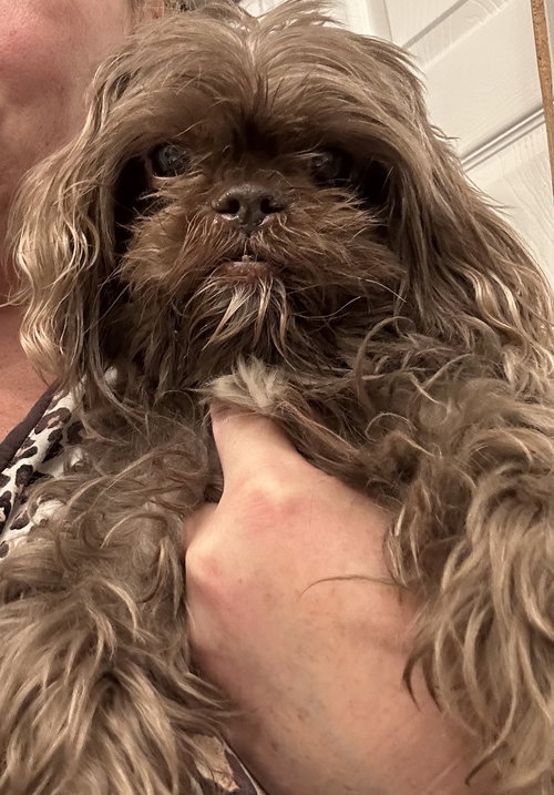 Chewy