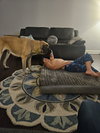 Sofia (aka Momma Mastiff)