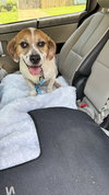 Milo