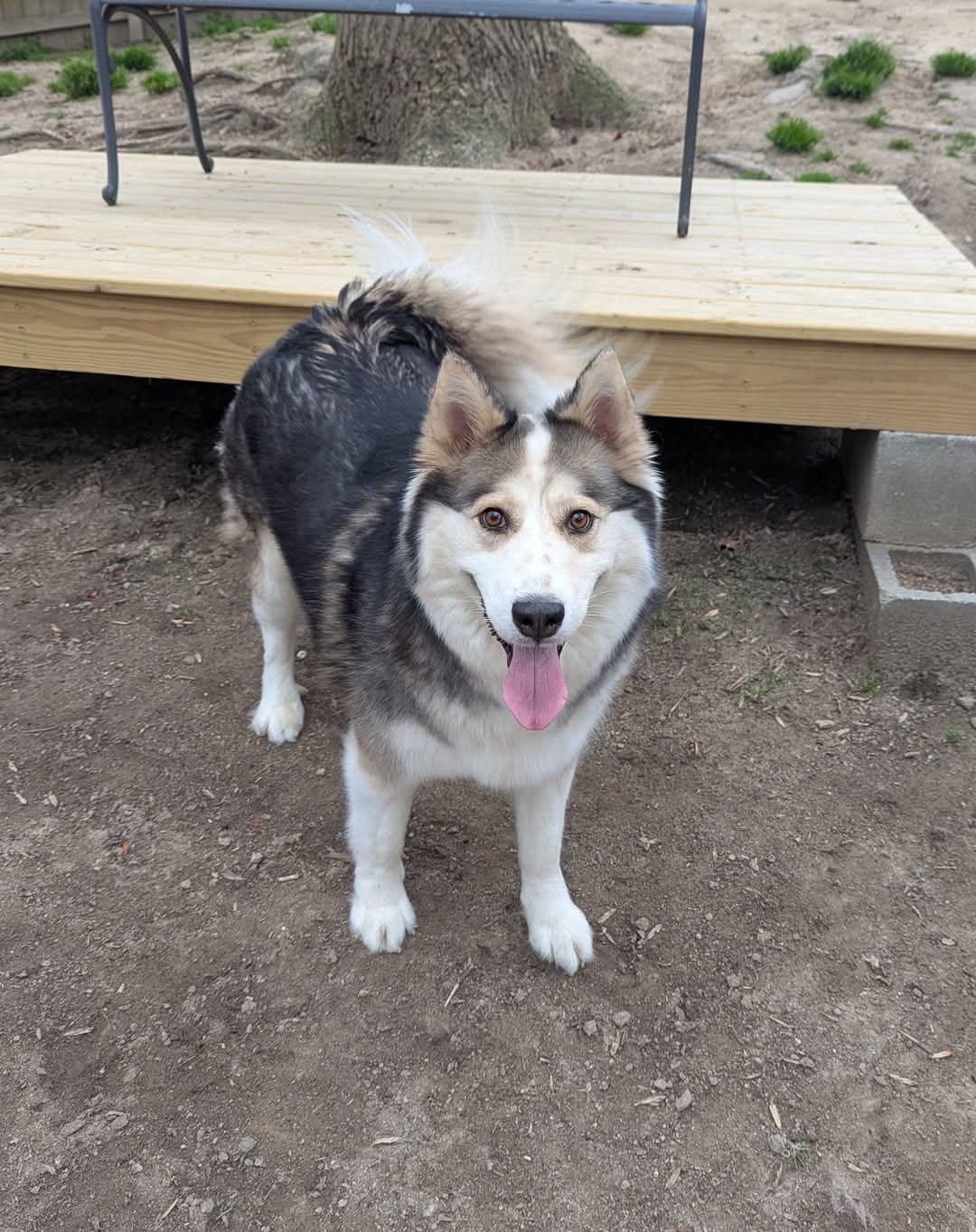 Luka image 4