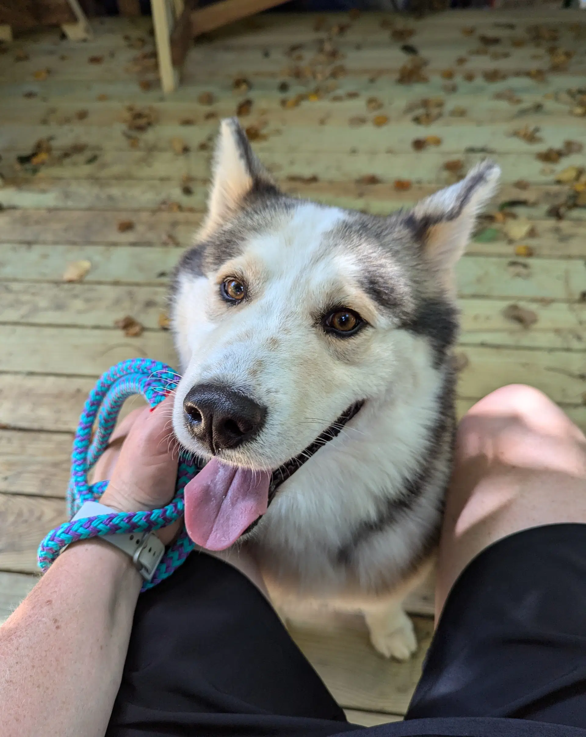 Luka image 2