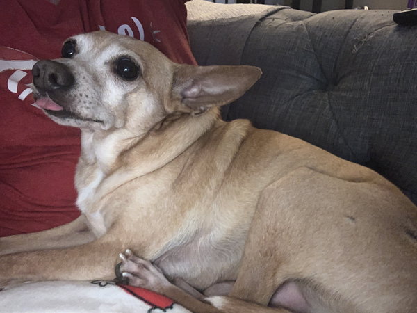 Lewis [bonded to Steve]