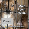 Krunch