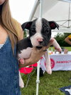 Mobey - McKnight Litter