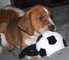 Budderball
