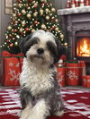 Chloe (Bonded to Lilly)