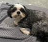 Chloe (Bonded to Lilly)