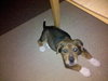 Tucker